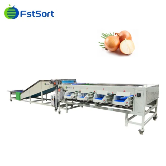 Trieuse de fruits Fstsort Longan Grader/ Machine de classification de classement de litchi/ Machine de classement de tri d'olives Machine de tri de Longan